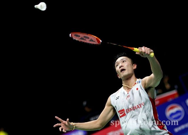 出牌的情况 出牌的情况